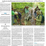 Lizenziert durch BNN Badische Neueste Nachrichten Badendruck GmbH